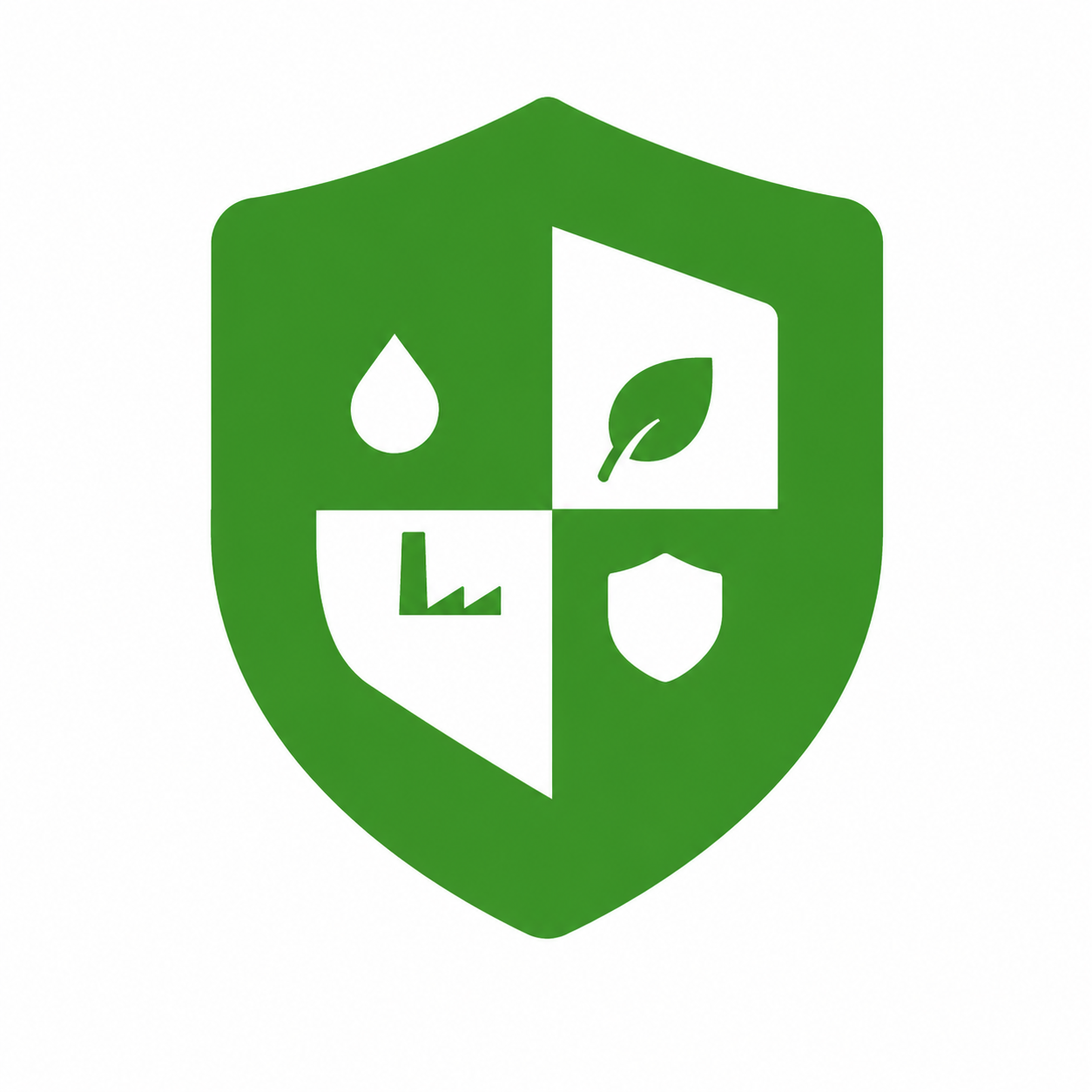 Vision Icon